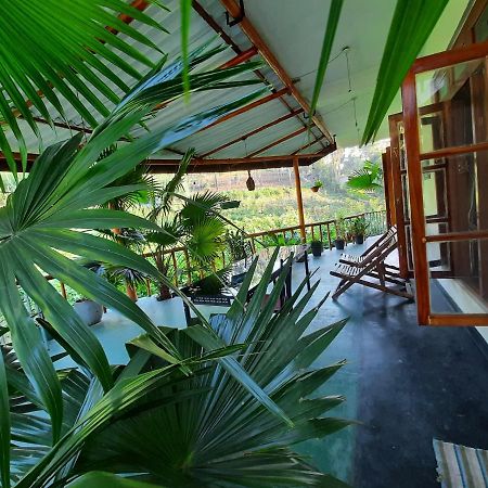 إيلا Serenity Homestay المظهر الخارجي الصورة