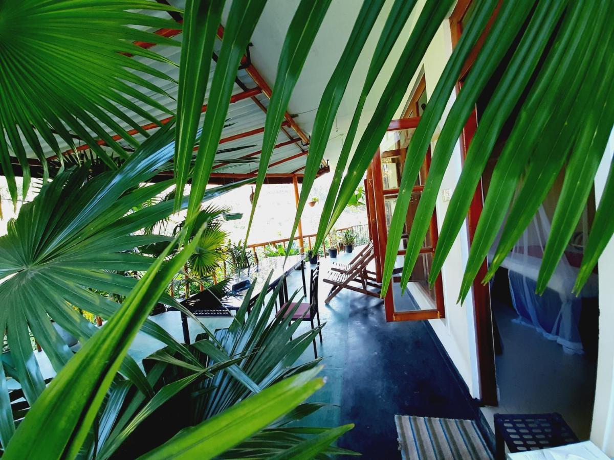 إيلا Serenity Homestay المظهر الخارجي الصورة