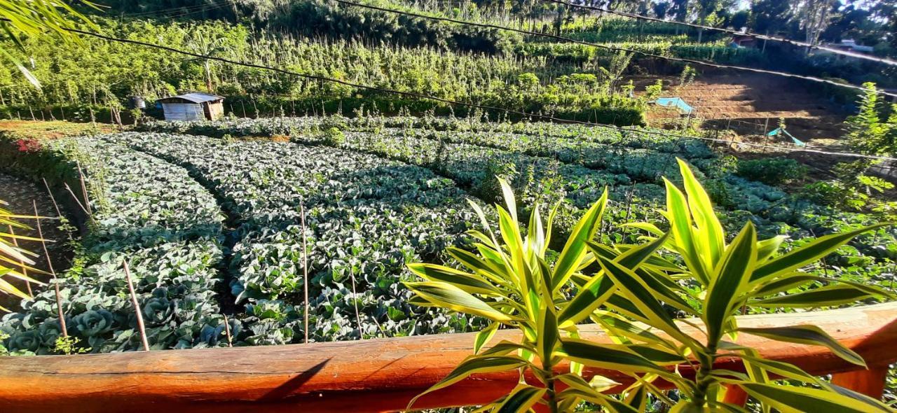 إيلا Serenity Homestay المظهر الخارجي الصورة