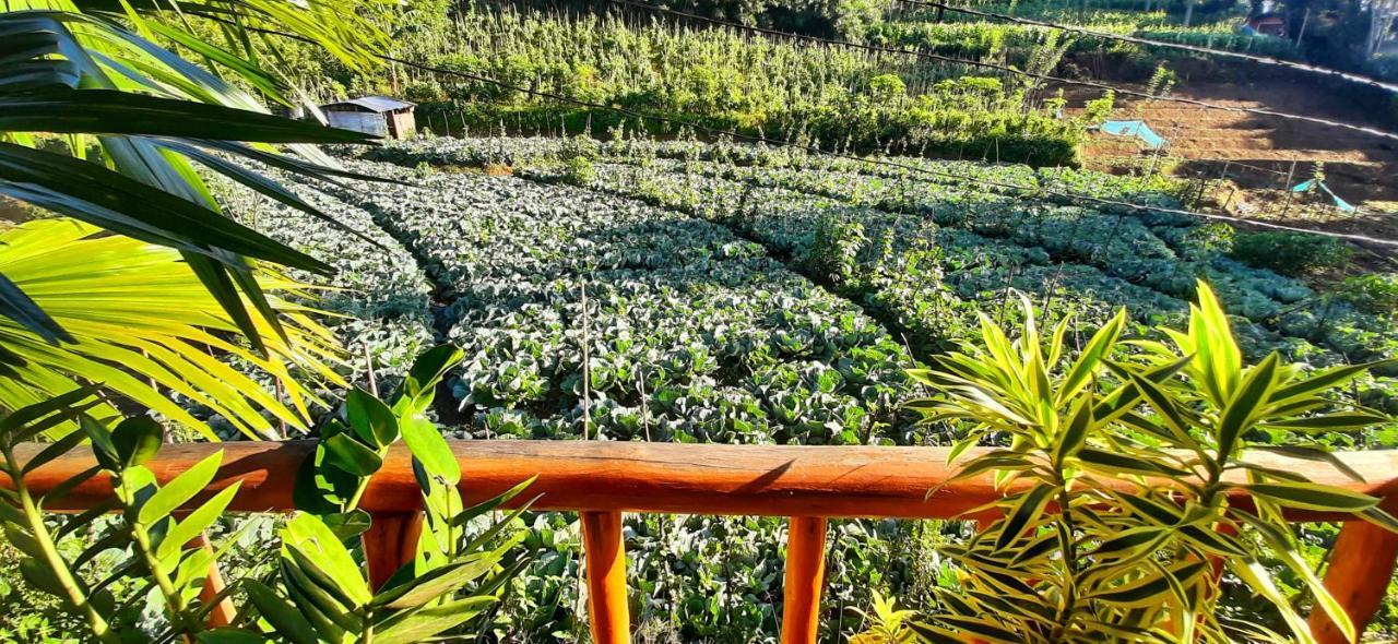 إيلا Serenity Homestay المظهر الخارجي الصورة